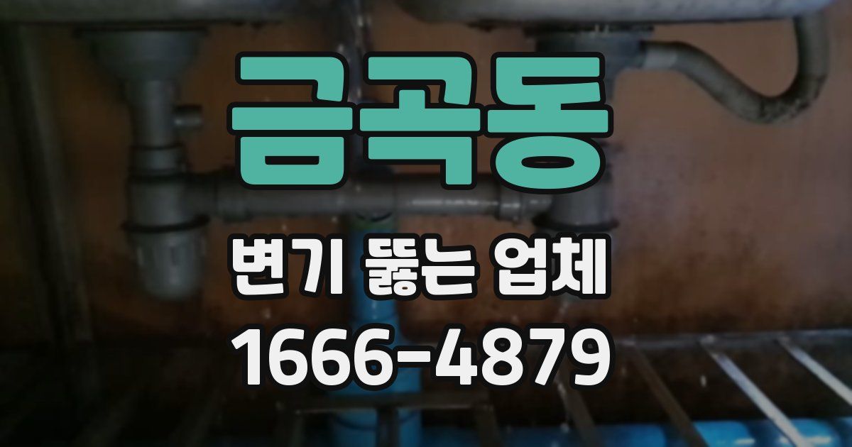 금곡동 변기 뚫는 업체