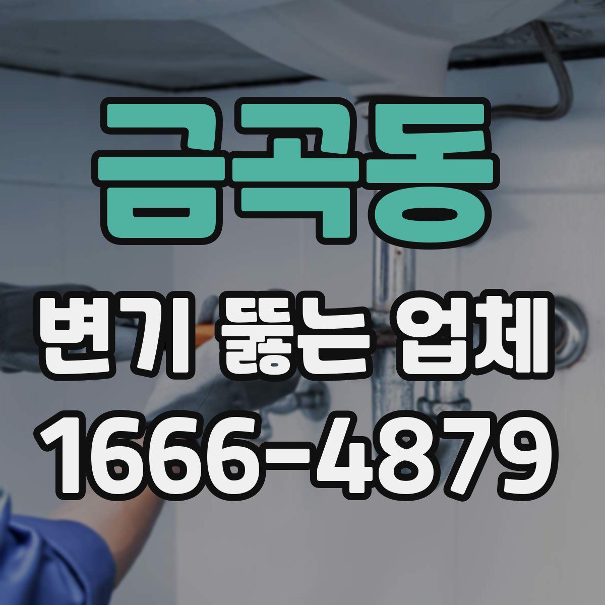 금곡동 변기 뚫는 업체