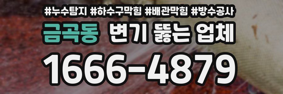 금곡동 변기 뚫는 업체