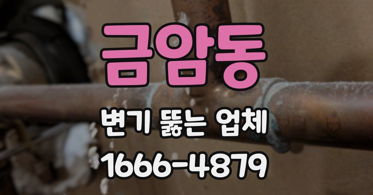 금암동 변기 뚫는 업체