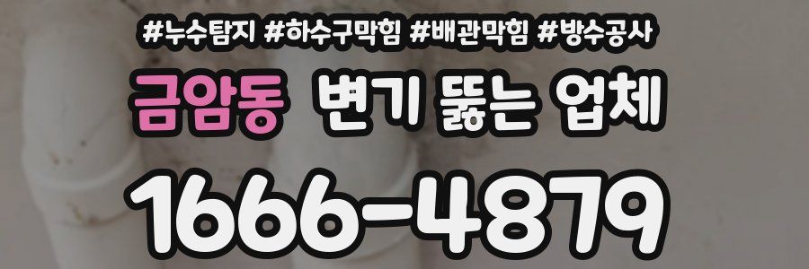 금암동 변기 뚫는 업체