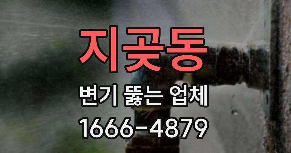 지곶동 변기 뚫는 업체