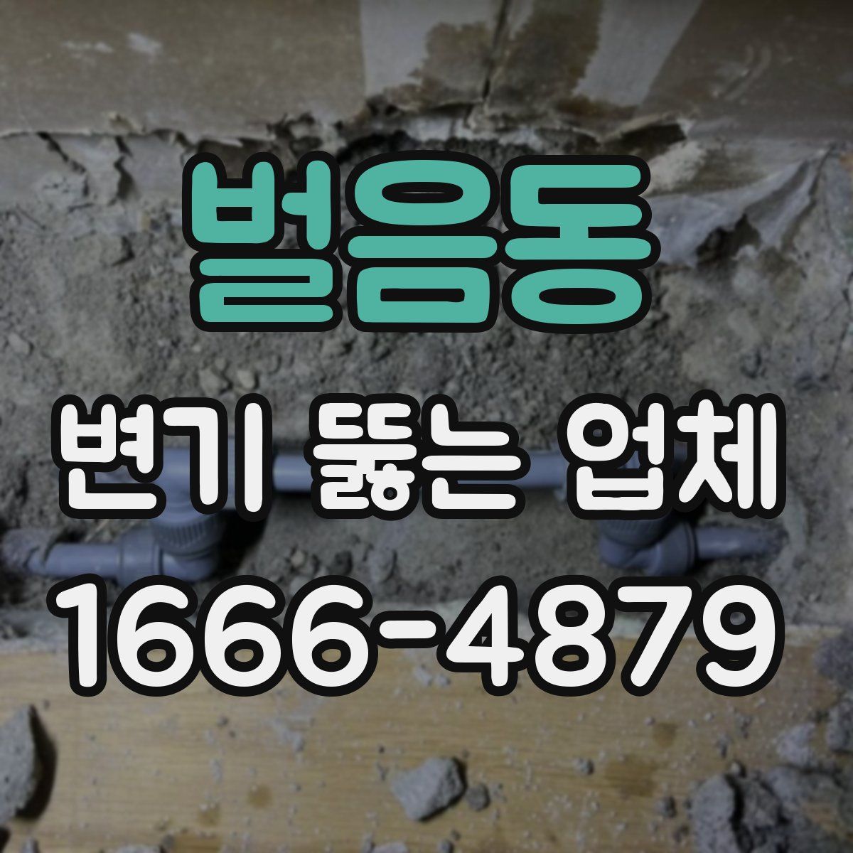 벌음동 변기 뚫는 업체