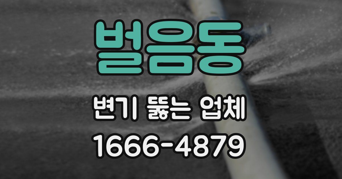 벌음동 변기 뚫는 업체