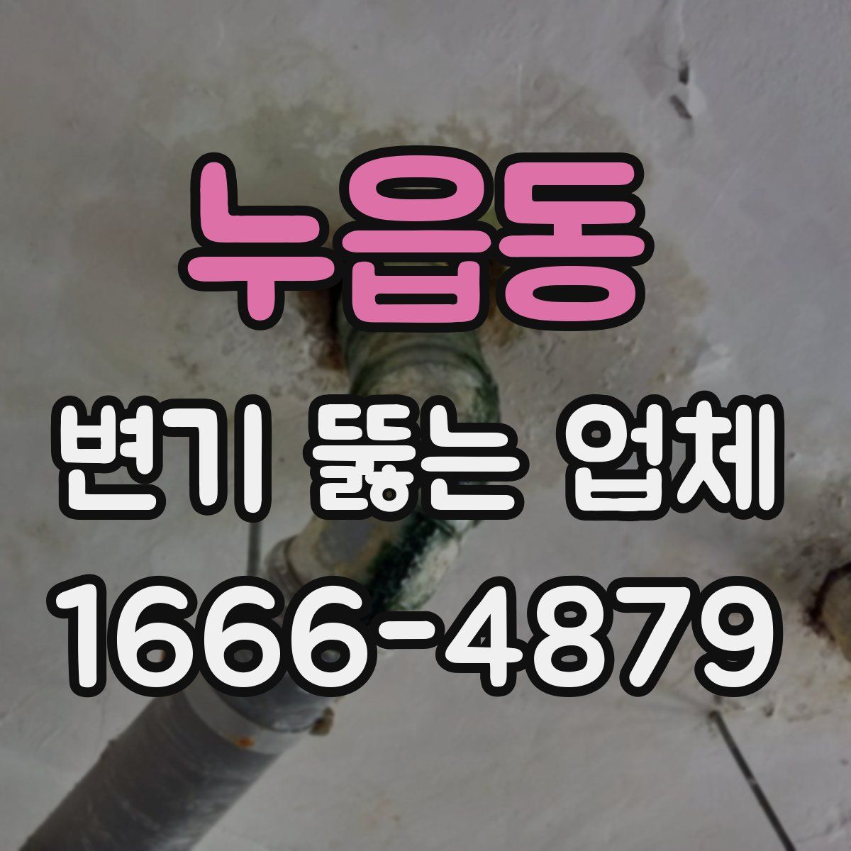 누읍동 변기 뚫는 업체