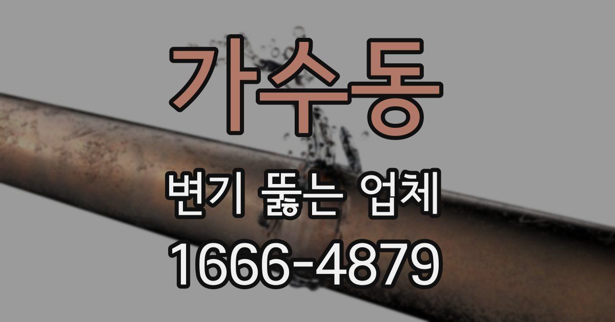 가수동 변기 뚫는 업체