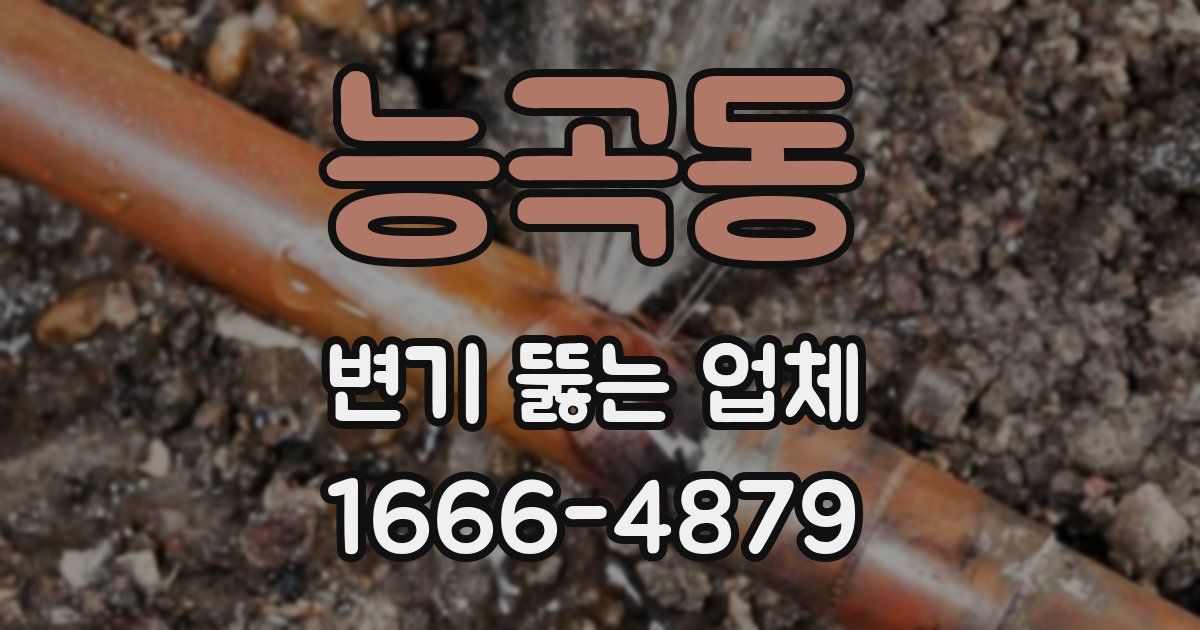 능곡동 변기 뚫는 업체