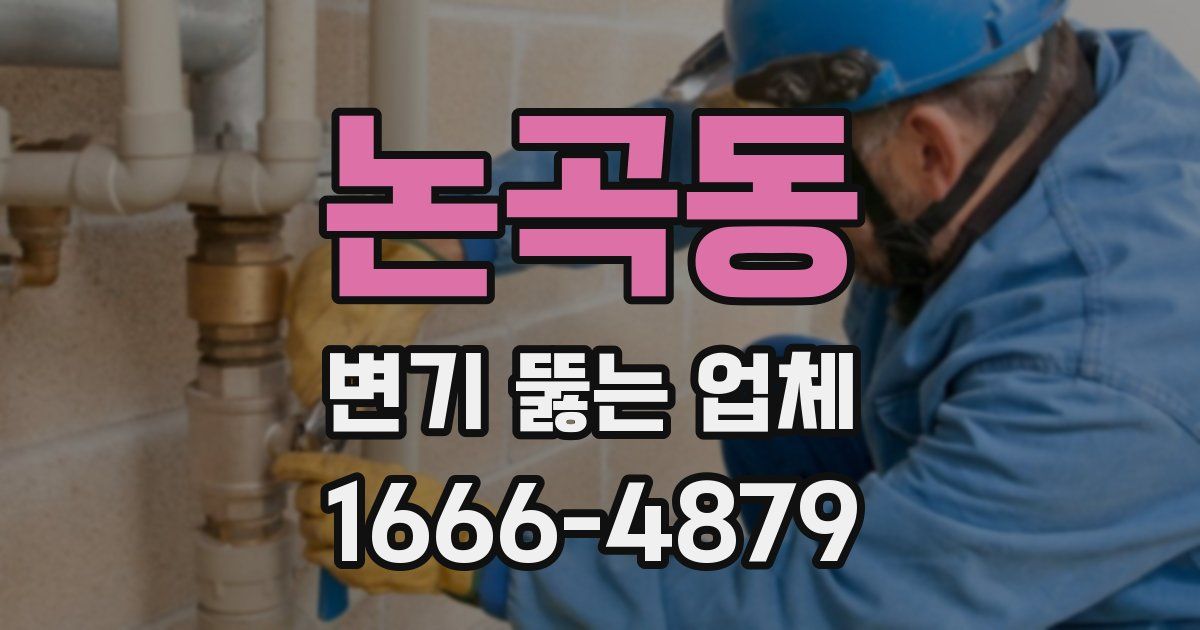 논곡동 변기 뚫는 업체