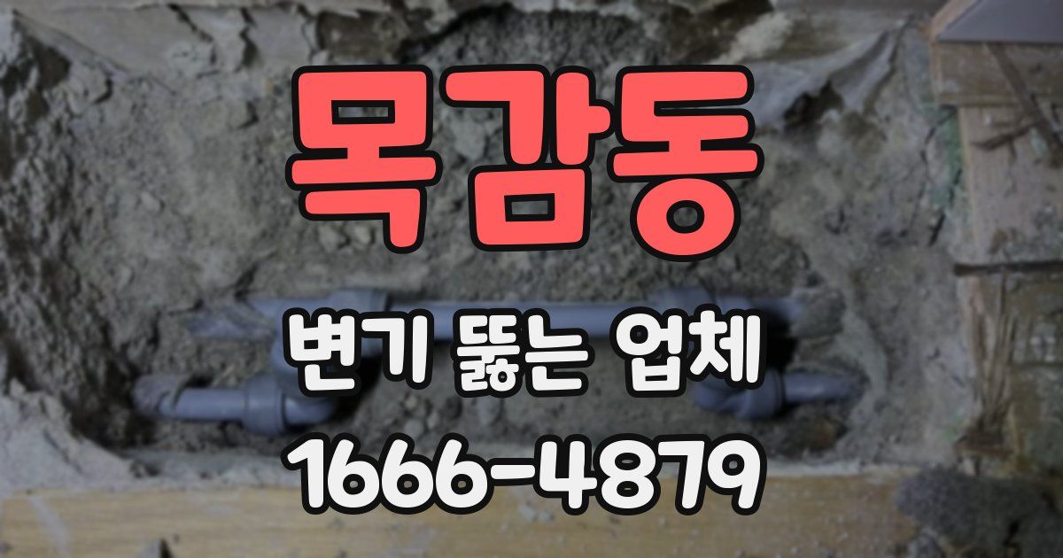 목감동 변기 뚫는 업체