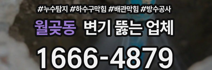 월곶동 변기 뚫는 업체