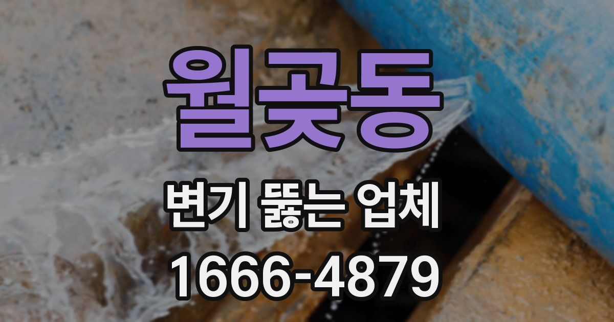 월곶동 변기 뚫는 업체