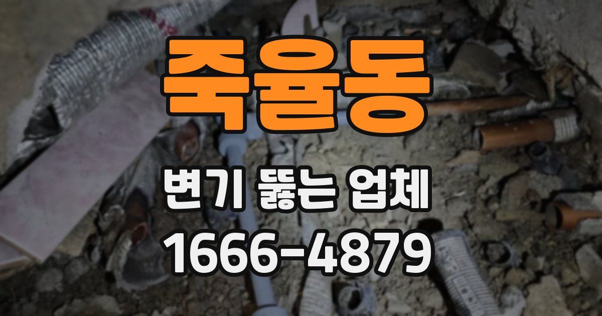 죽율동 변기 뚫는 업체
