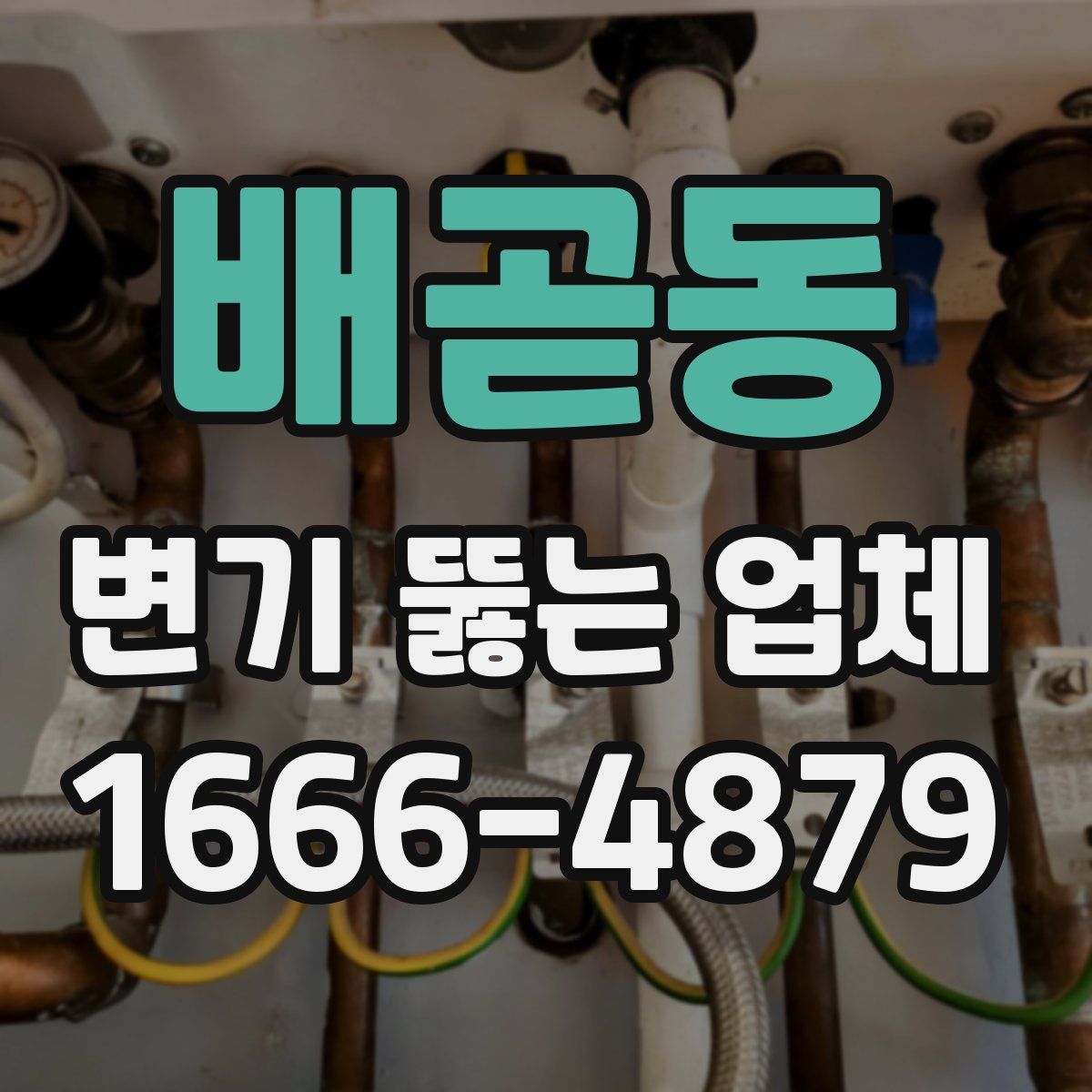 배곧동 변기 뚫는 업체