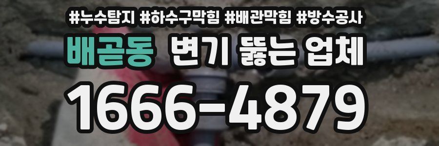 배곧동 변기 뚫는 업체