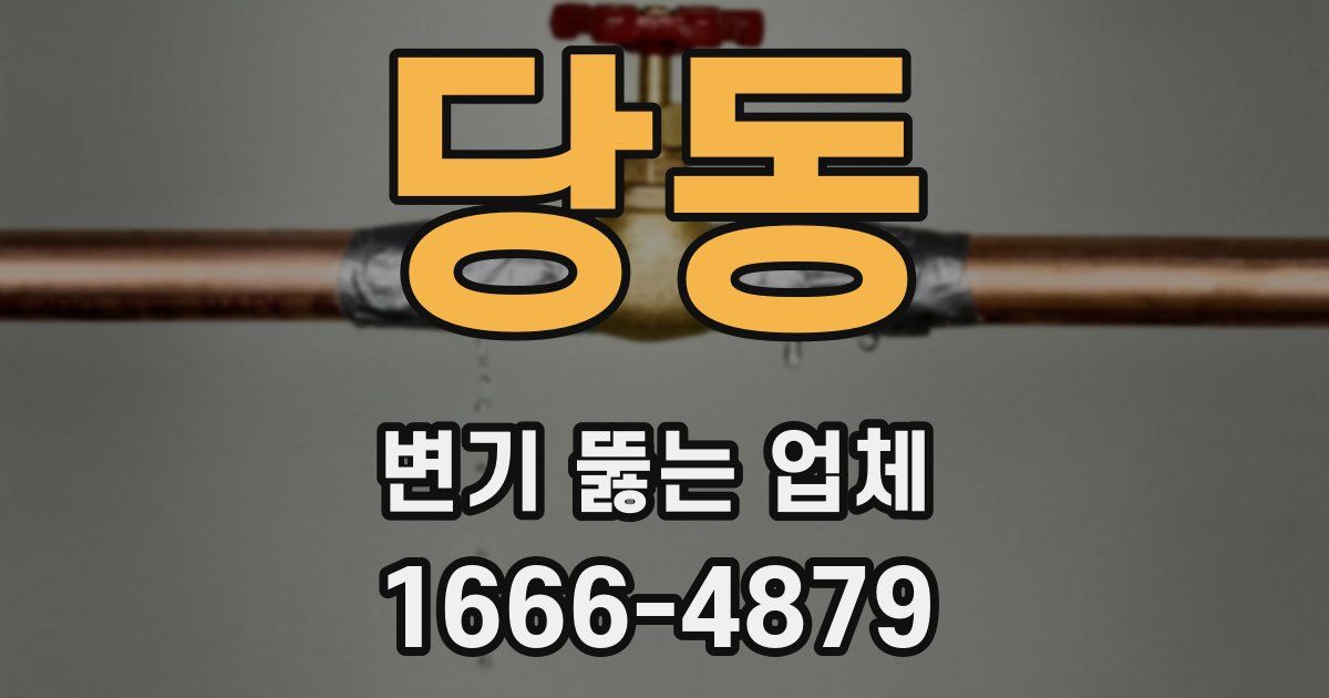 당동 변기 뚫는 업체