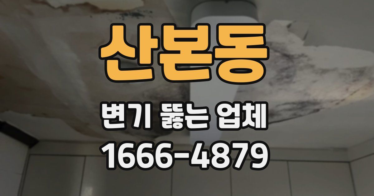 산본동 변기 뚫는 업체
