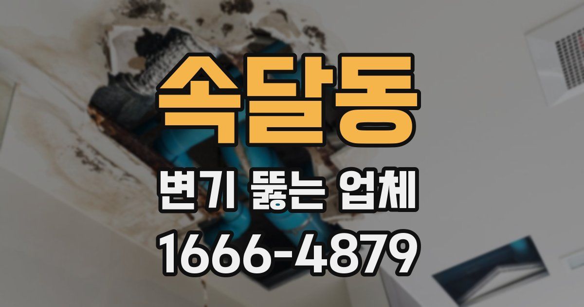 속달동 변기 뚫는 업체