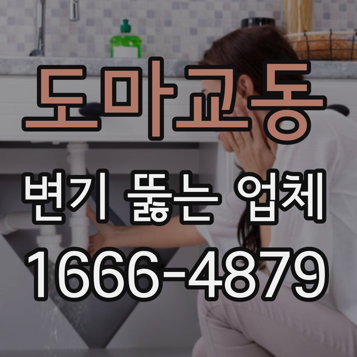 도마교동 변기 뚫는 업체