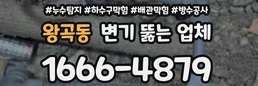 왕곡동 변기 뚫는 업체