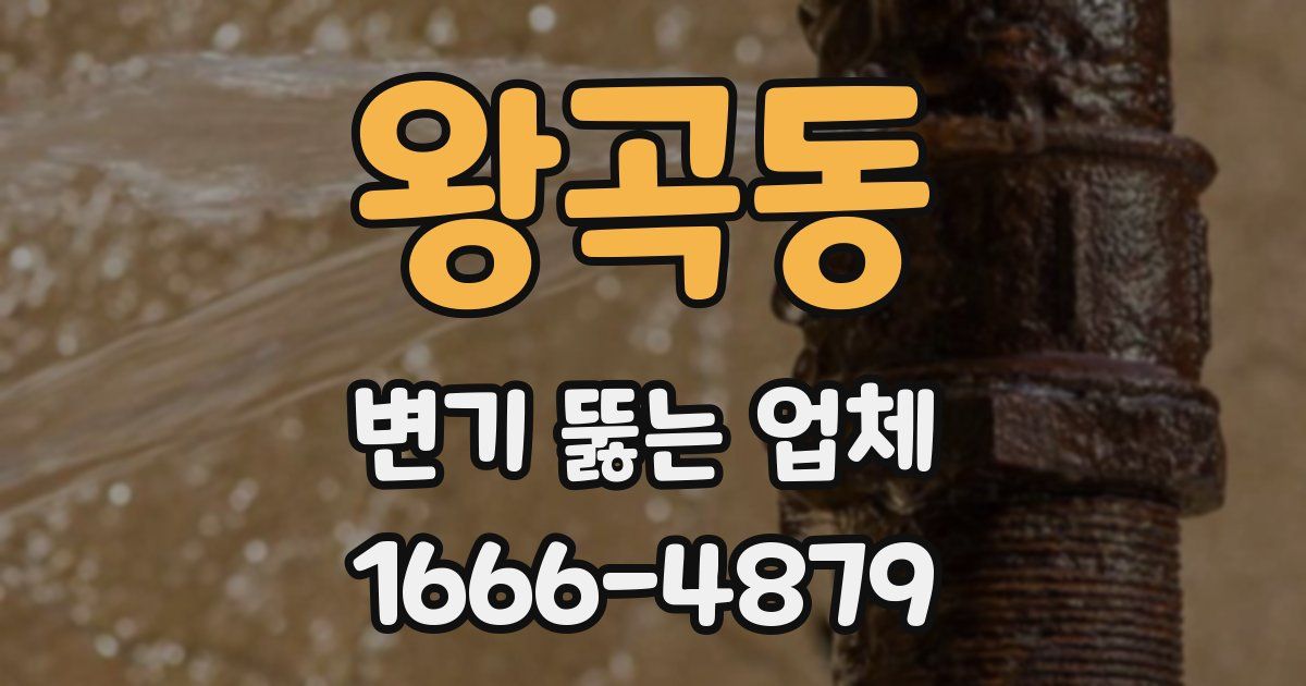 왕곡동 변기 뚫는 업체