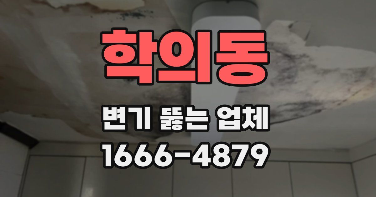 학의동 변기 뚫는 업체