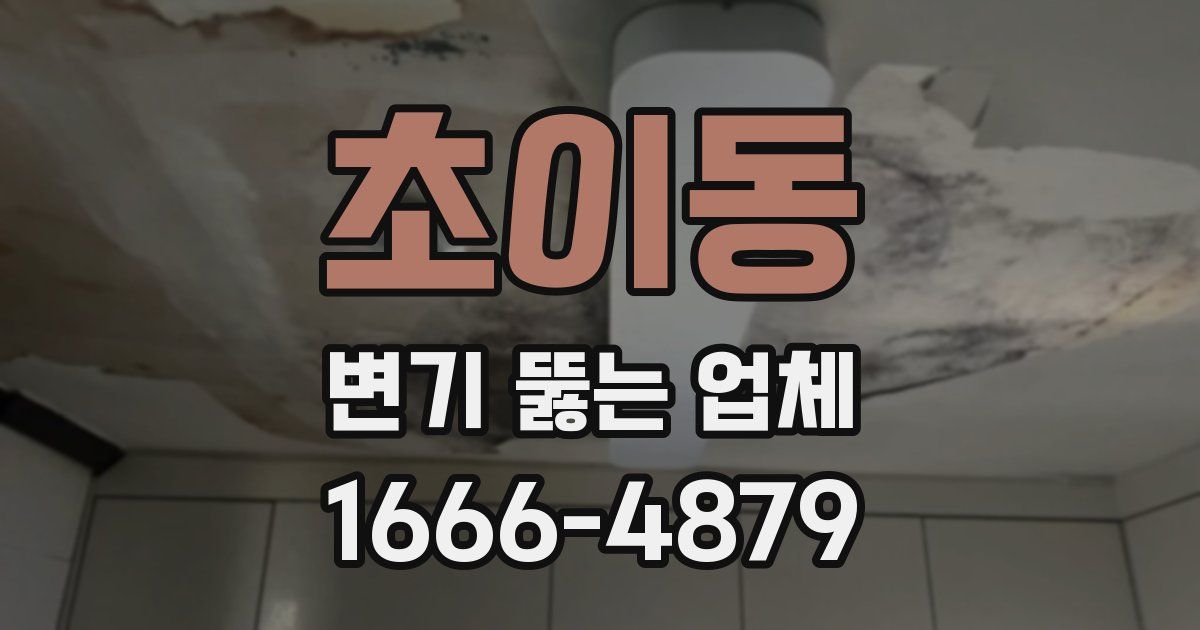 초이동 변기 뚫는 업체