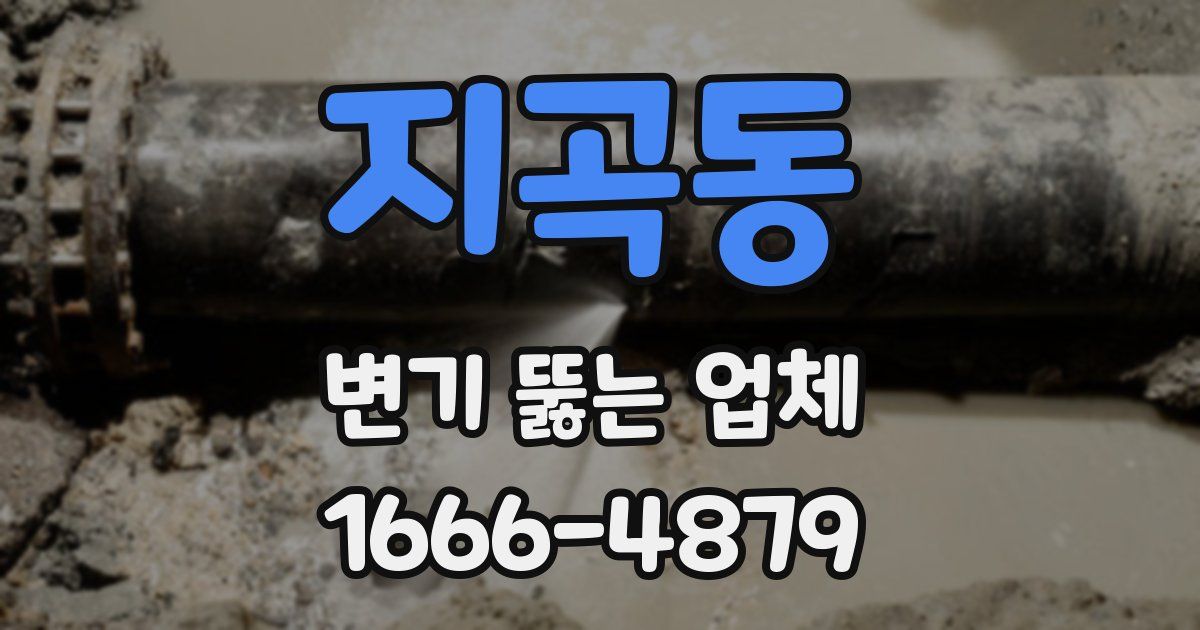 지곡동 변기 뚫는 업체
