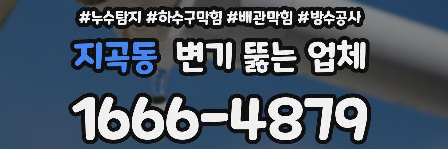 지곡동 변기 뚫는 업체