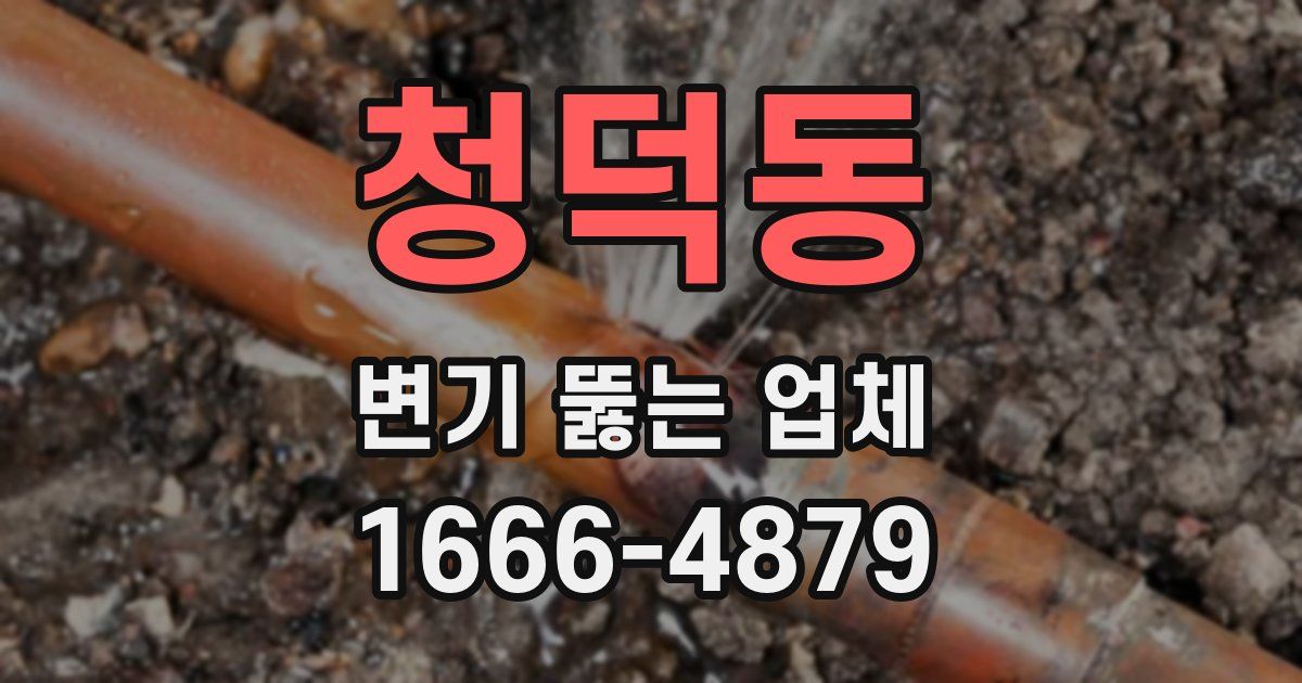 청덕동 변기 뚫는 업체