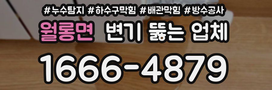 월롱면 변기 뚫는 업체