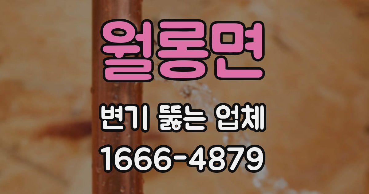월롱면 변기 뚫는 업체