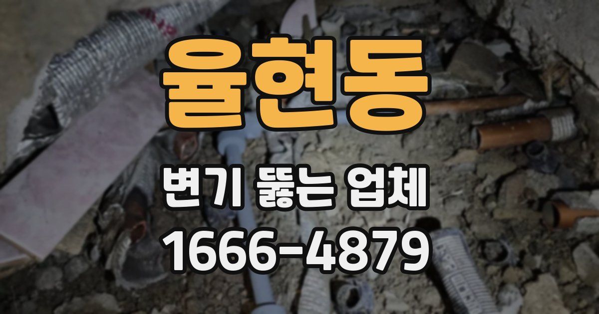 율현동 변기 뚫는 업체