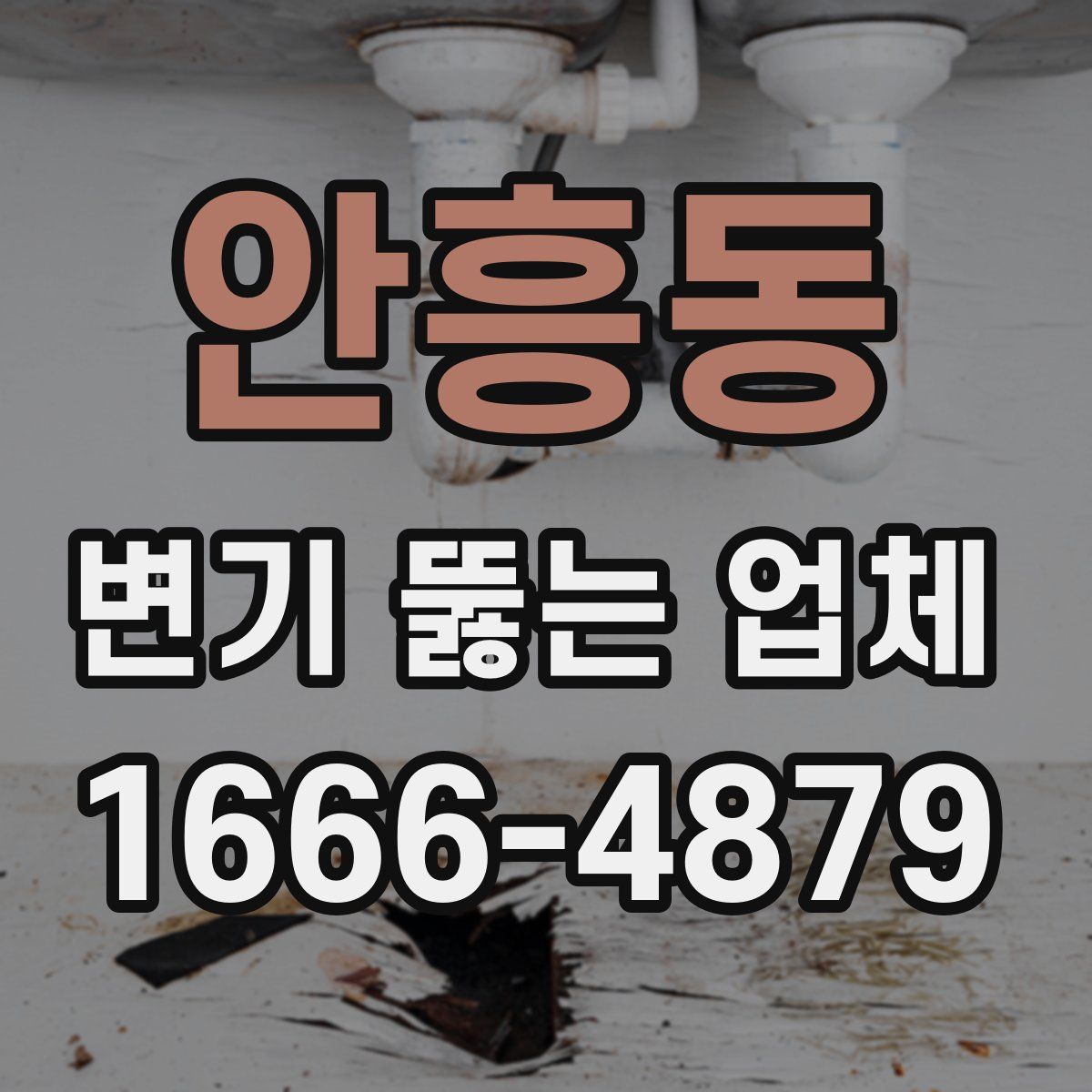 안흥동 변기 뚫는 업체