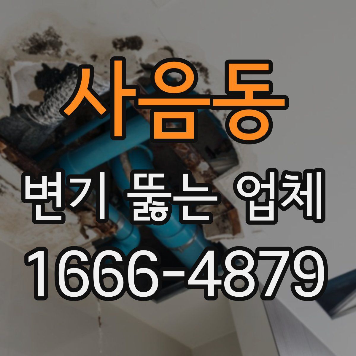 사음동 변기 뚫는 업체