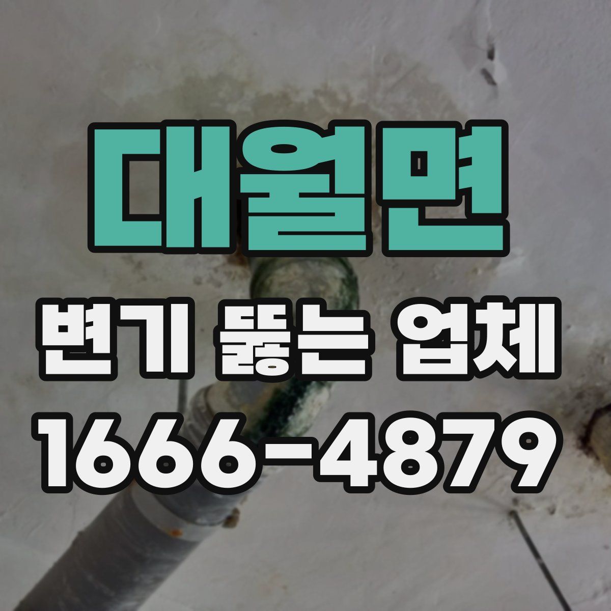 대월면 변기 뚫는 업체