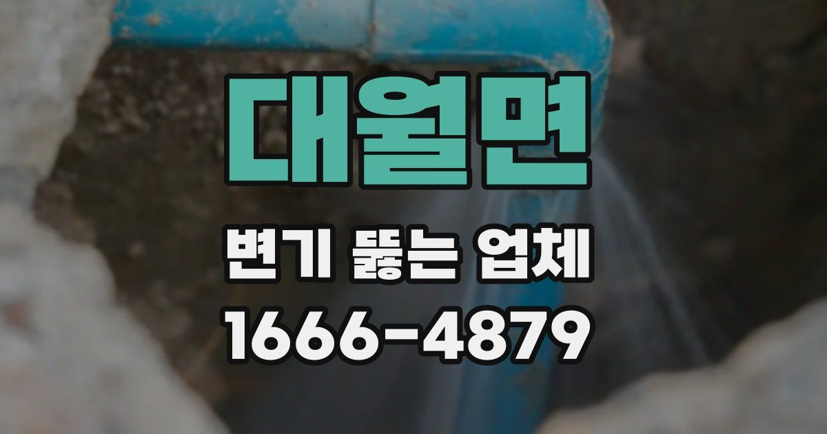 대월면 변기 뚫는 업체