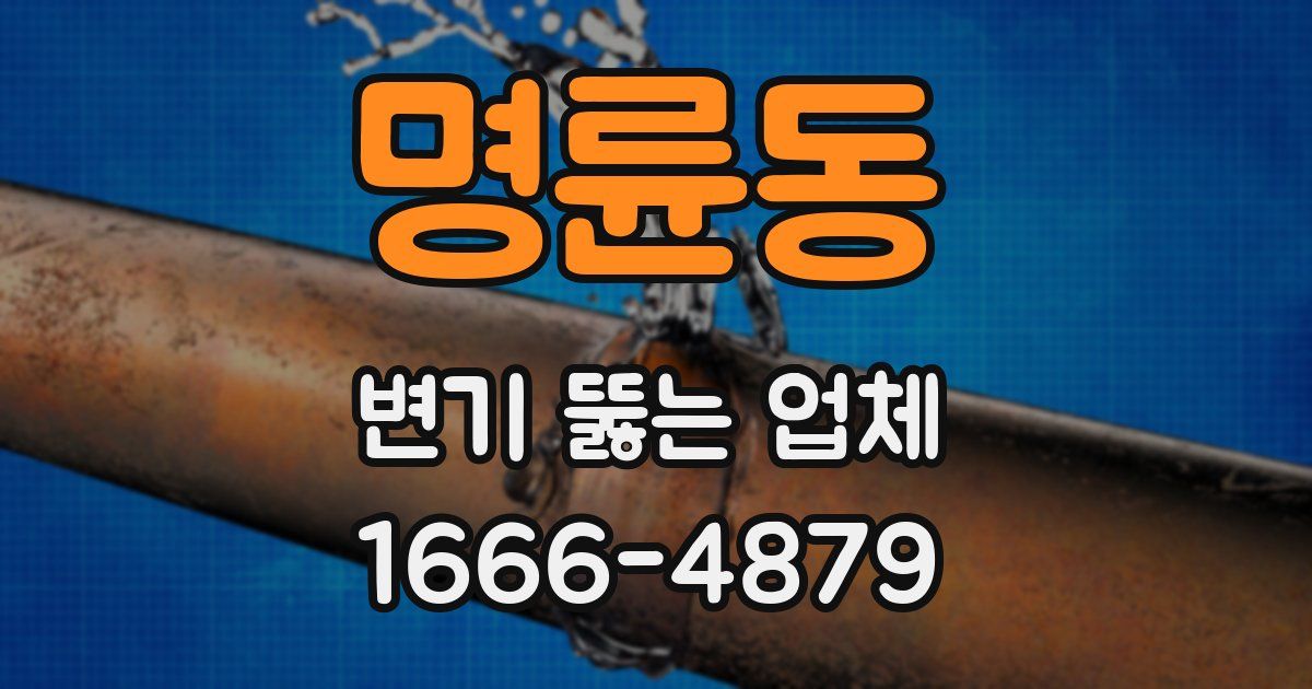 명륜동 변기 뚫는 업체