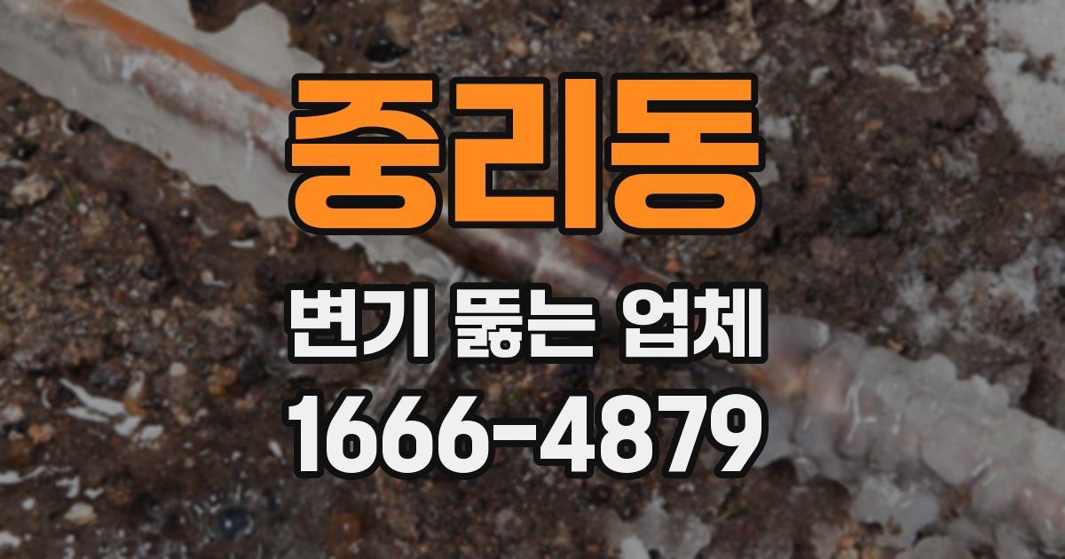 중리동 변기 뚫는 업체