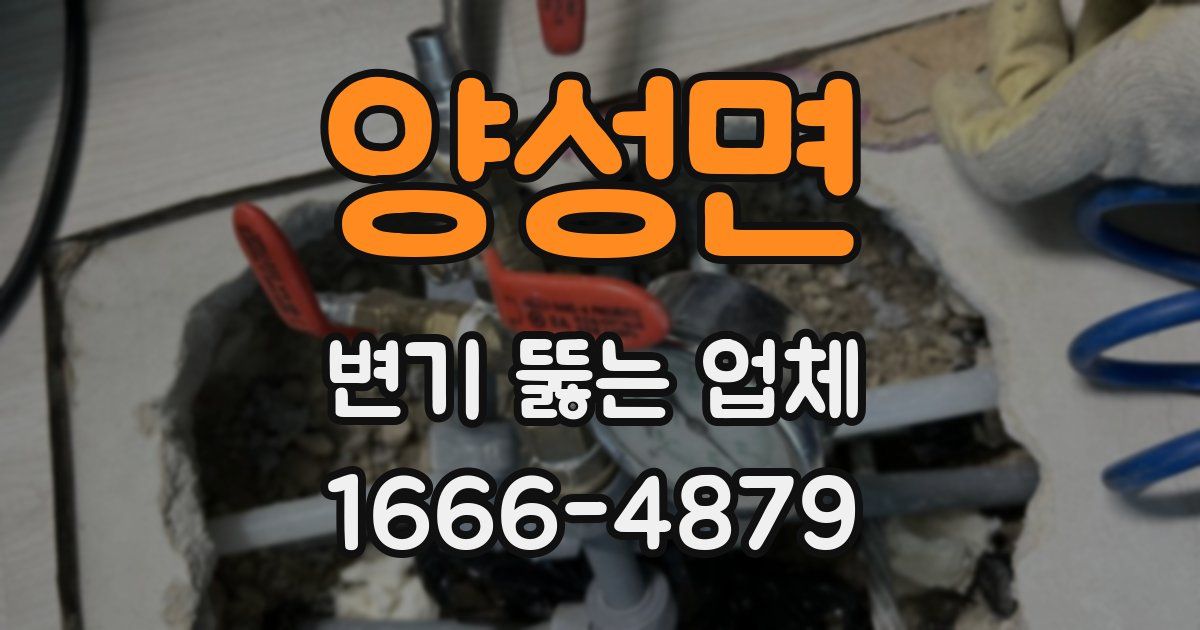 양성면 변기 뚫는 업체