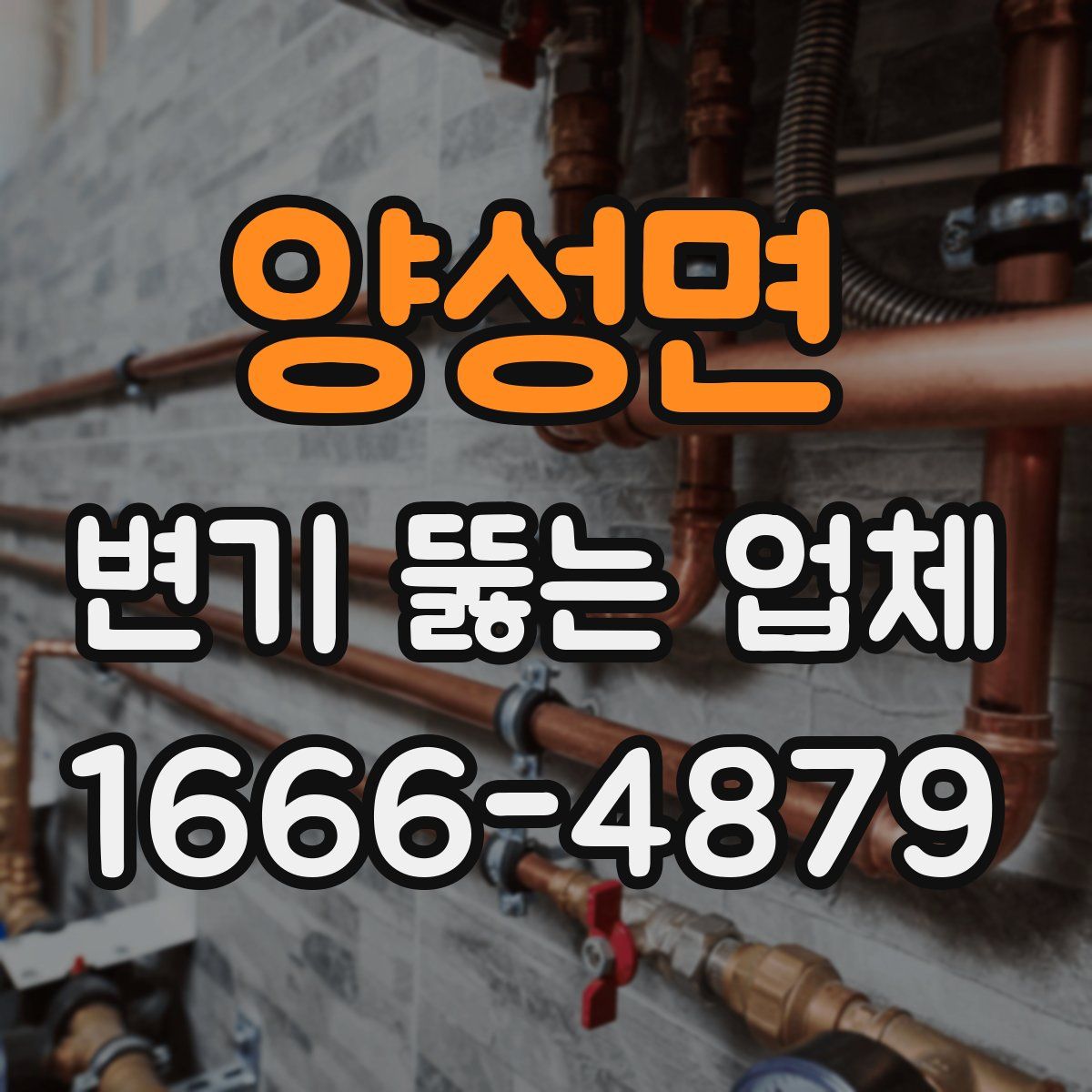 양성면 변기 뚫는 업체