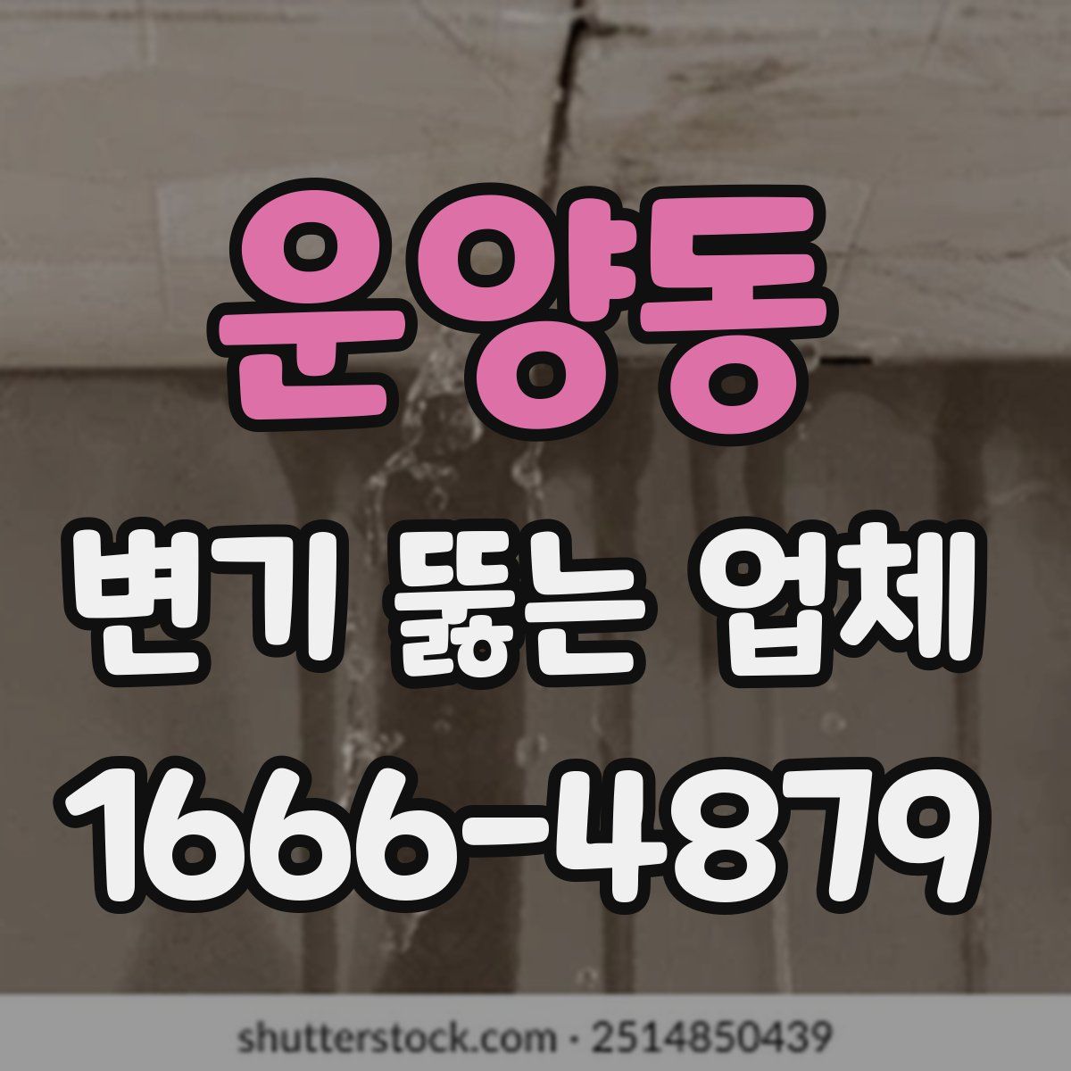 운양동 변기 뚫는 업체