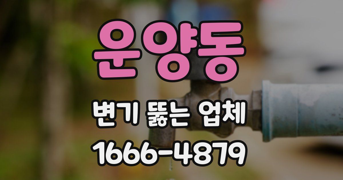 운양동 변기 뚫는 업체
