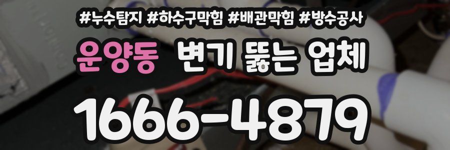 운양동 변기 뚫는 업체