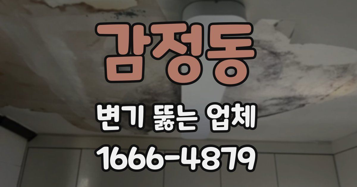 감정동 변기 뚫는 업체