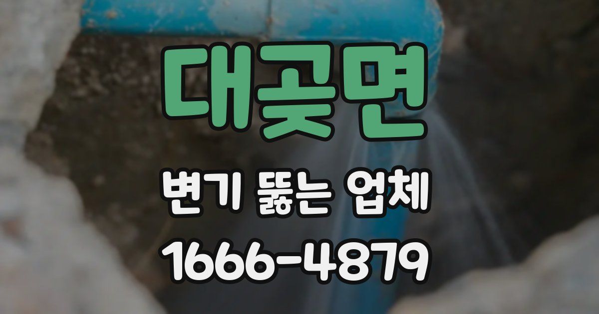 대곶면 변기 뚫는 업체