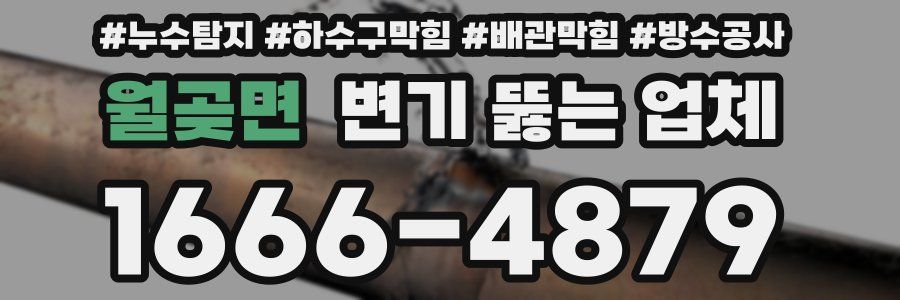 월곶면 변기 뚫는 업체