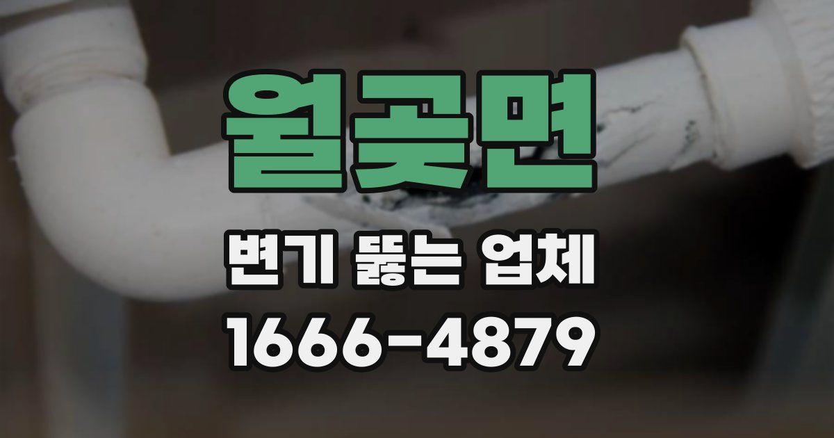 월곶면 변기 뚫는 업체