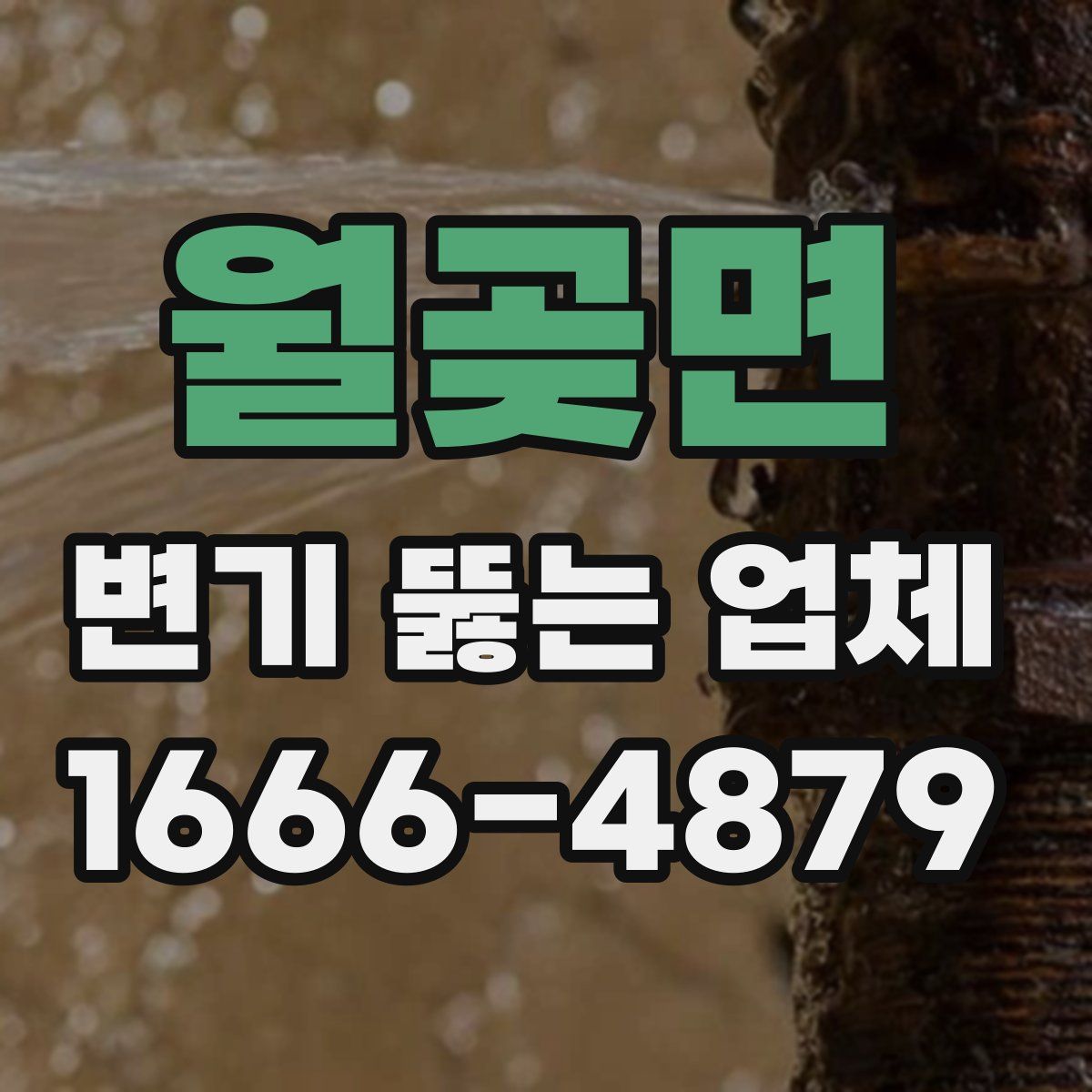 월곶면 변기 뚫는 업체