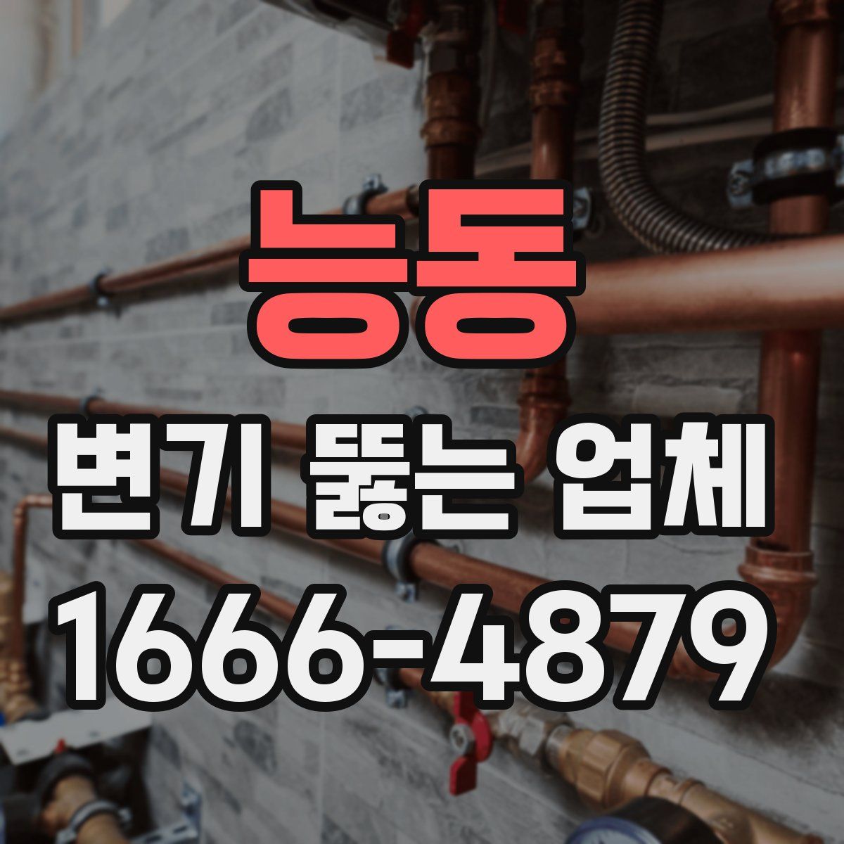 능동 변기 뚫는 업체