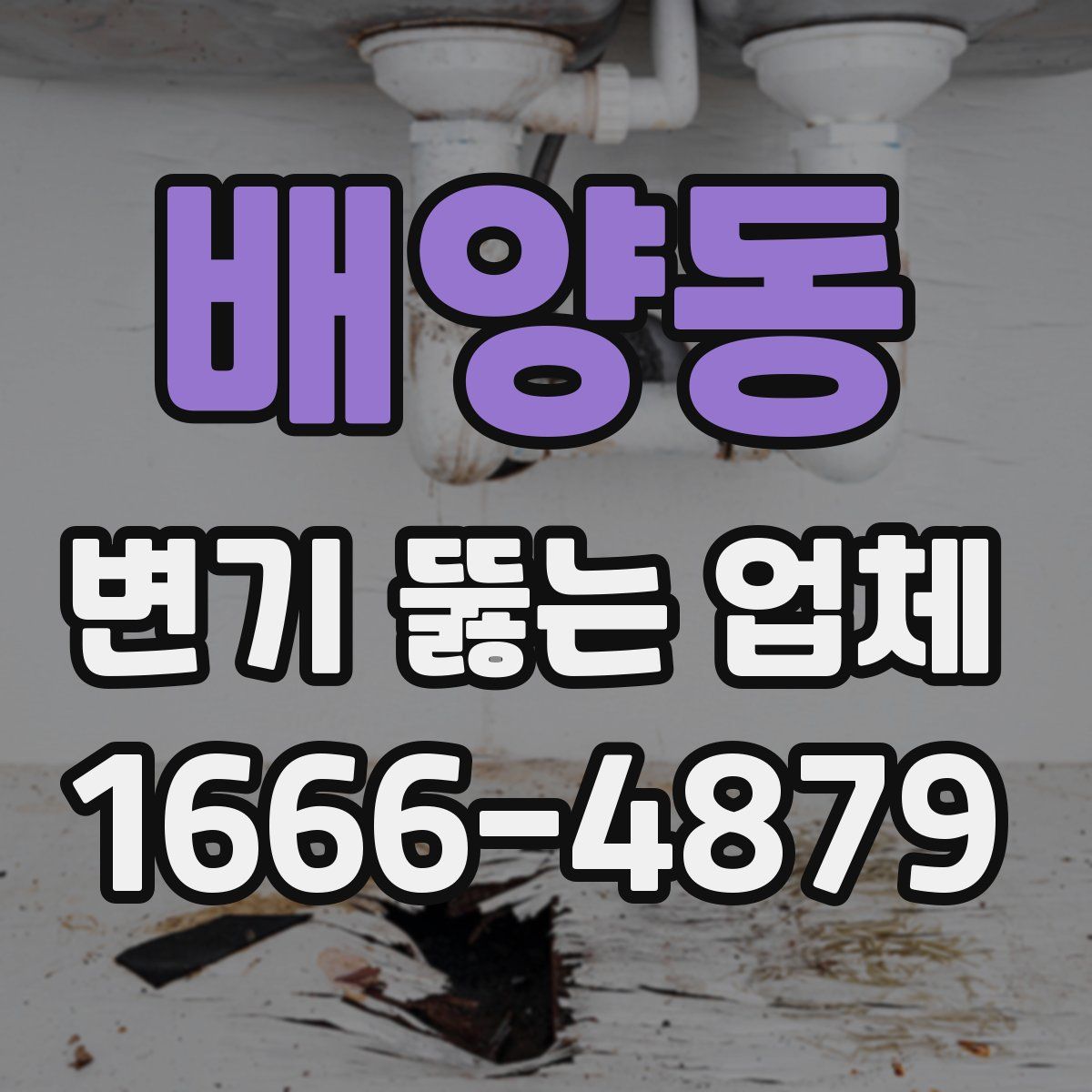 배양동 변기 뚫는 업체